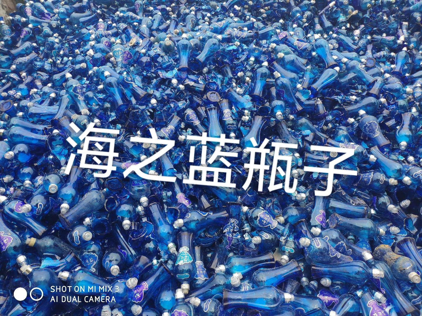 灌云海之蓝瓶回收